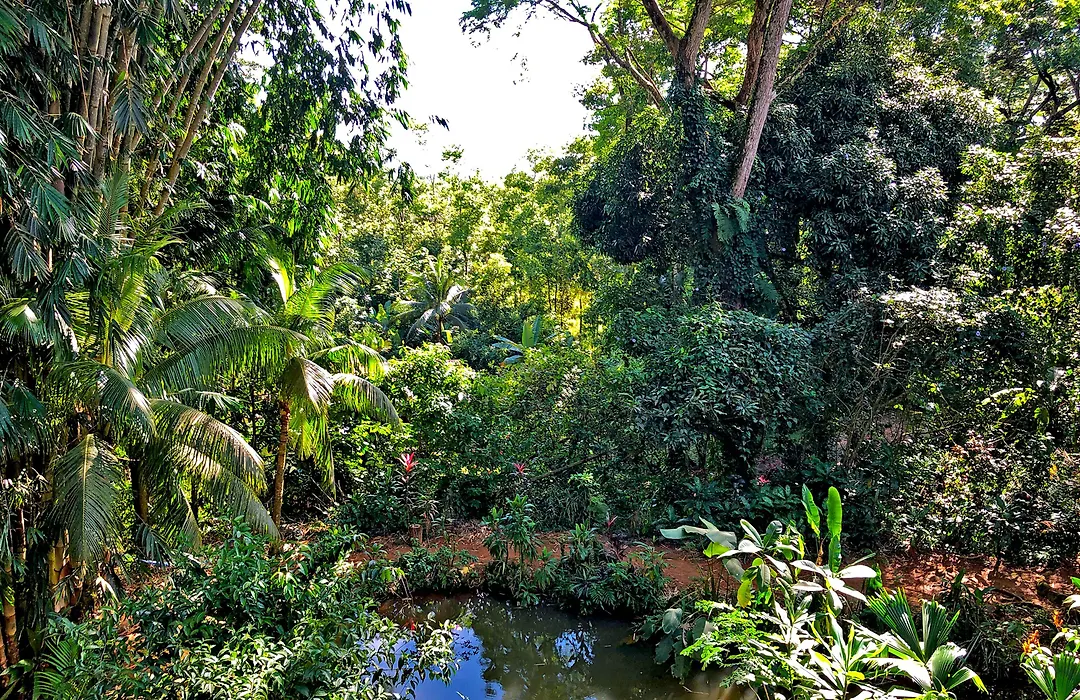 Cascada Verde Eco Lodge & Hostel-1